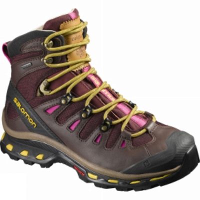 Salomon Womens Quest Origins 2 GTX Boot Pinot Noir / Bitter Chocolate LTR